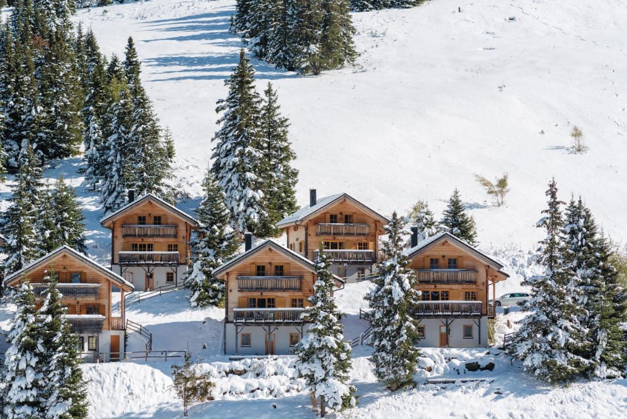 Feriendorf Koralpe Alpenrose Frantschach المظهر الخارجي الصورة