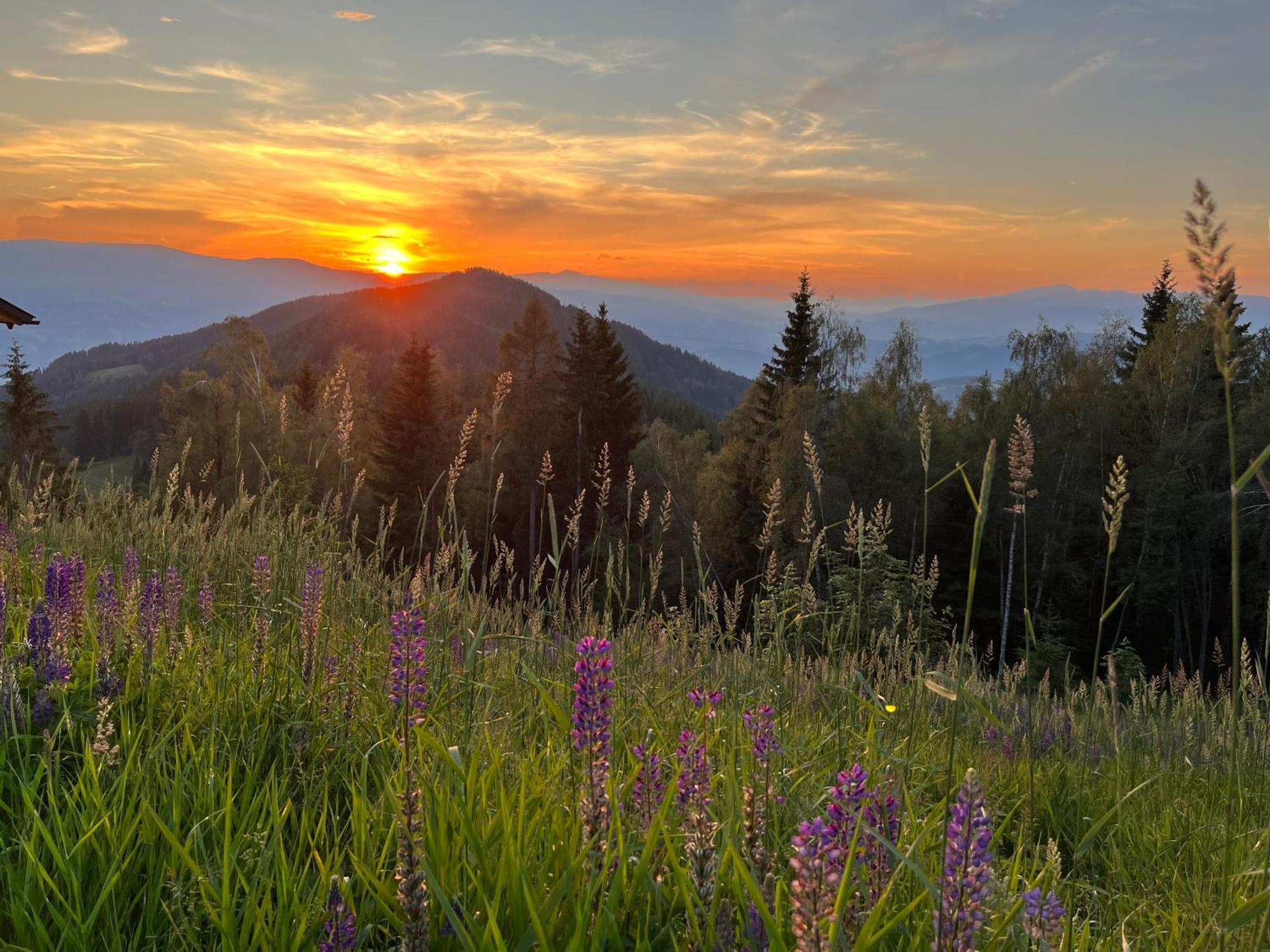 فيلا Feriendorf Koralpe Alpenrose Frantschach المظهر الخارجي الصورة